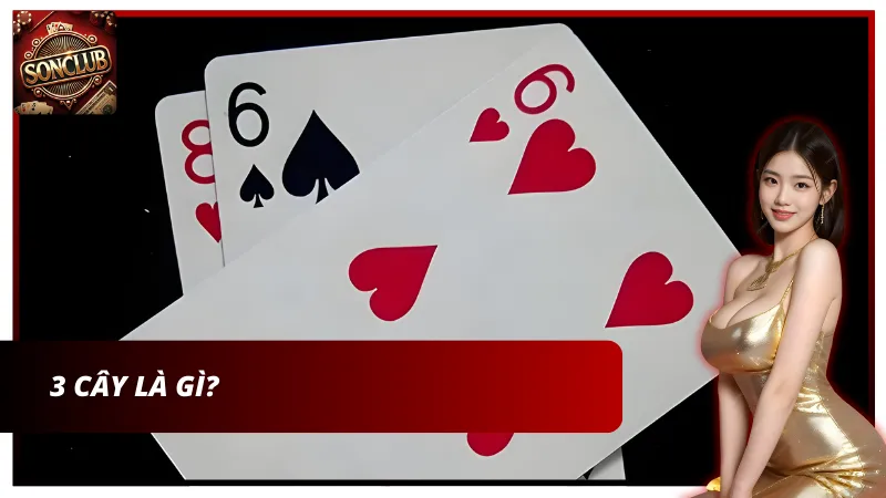 Bài 3 cây cách chơi phổ biến tại nước ta
